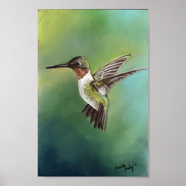 Ruby Throated Humming Bird Art Print (Front)