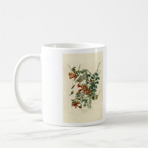 Ruby-throated Humming Bird, Audubon Birds America Coffee Mug