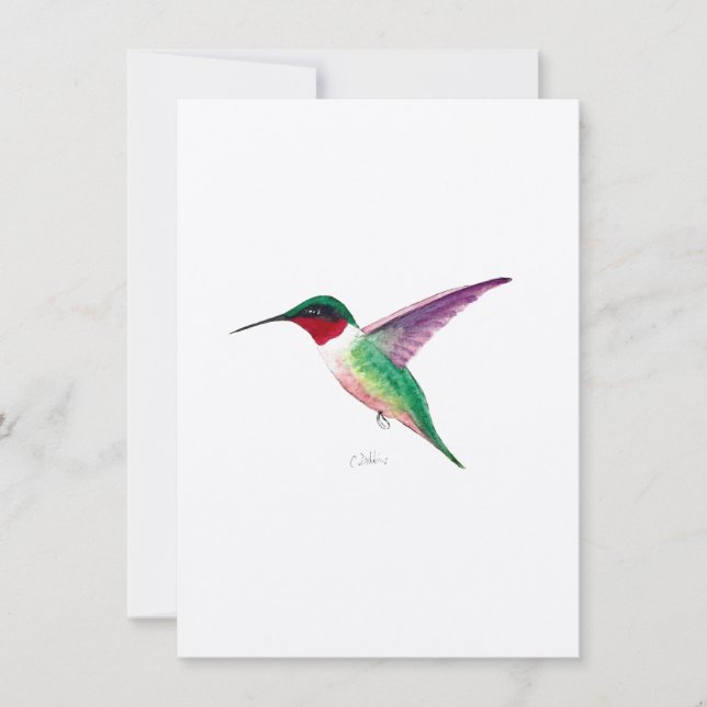 Ruby-throated Hummingbird (Front)