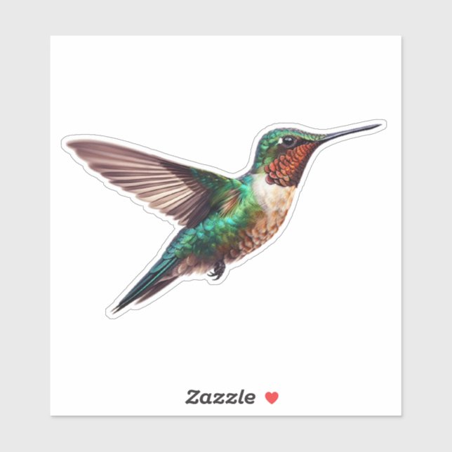 Ruby Throated Hummingbird (Sheet)