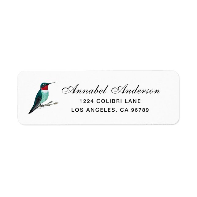 Ruby-throated Hummingbird (Front)