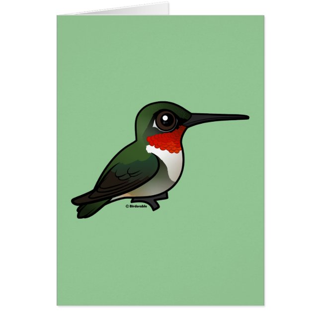 Ruby-throated Hummingbird (Front)