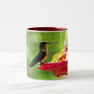 Ruby-Throated Hummingbird 11 oz Bird Photography Two-Tone Coffee Mug