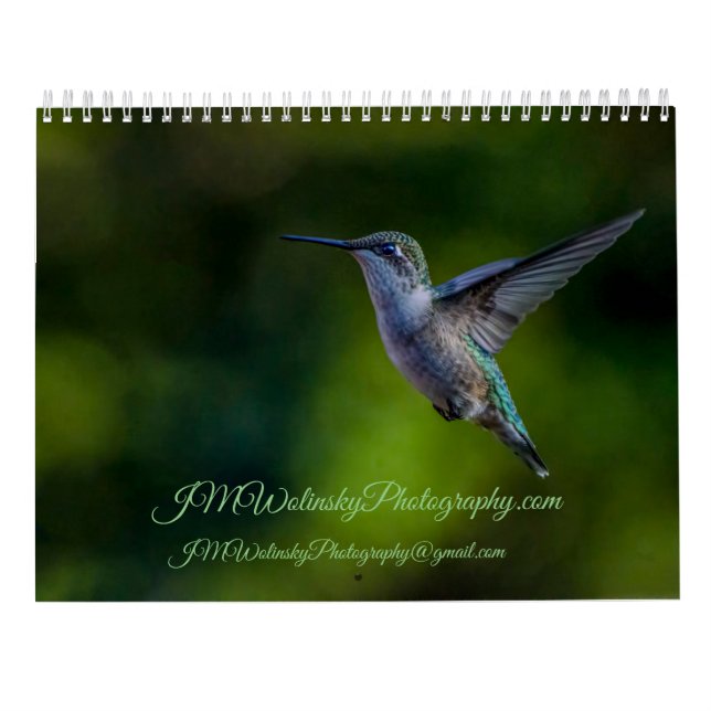 Ruby Throated Hummingbird 2025Calendar Calendar (Back)