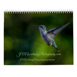 Ruby Throated Hummingbird 2025Calendar Calendar