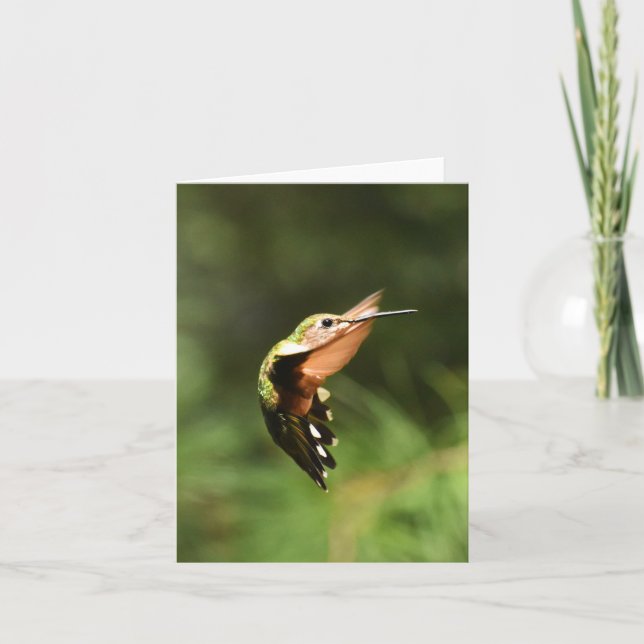 Ruby-throated Hummingbird #5 - Blank Note Card (Front)