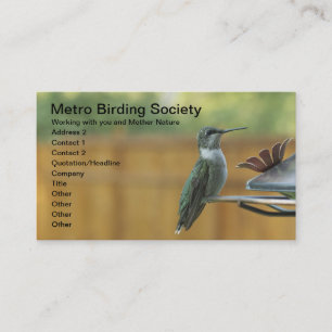 Ruby Throated Hummingbird Appointment Card