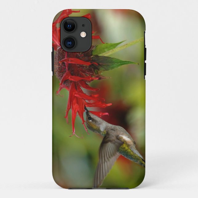 Ruby-Throated Hummingbird Archilochus Colubris Case-Mate iPhone Case (Back)
