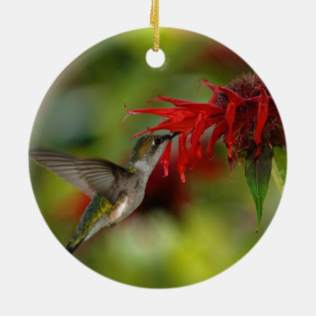 Ruby-Throated Hummingbird Archilochus Colubris Ceramic Tree Decoration (Back)