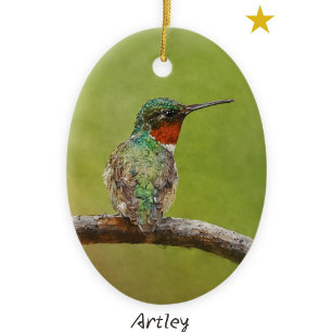 Ruby Throated Hummingbird Bird Painting Year Ceramic Tree Decoration