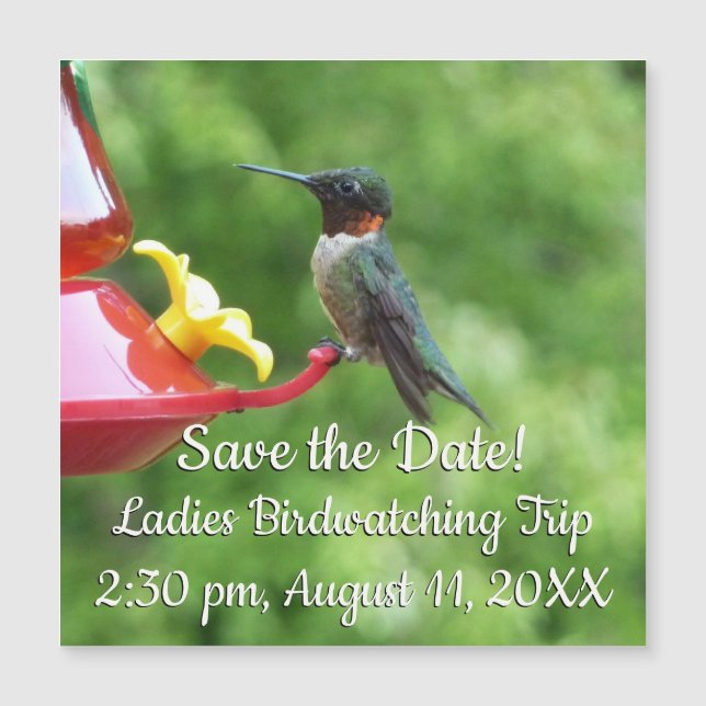 Ruby-Throated Hummingbird Bird Photography (Front)