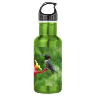 Ruby-Throated Hummingbird Bird Photography 532 Ml Water Bottle