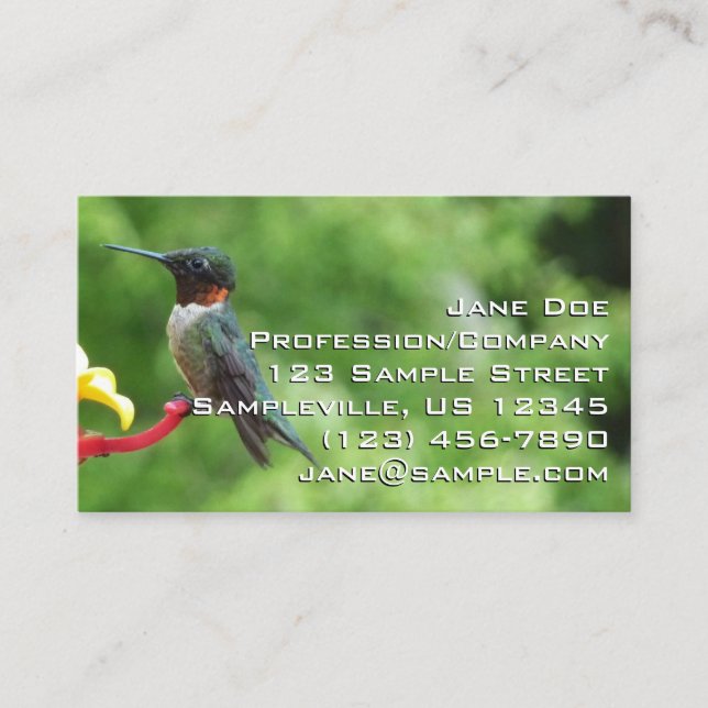 Ruby-Throated Hummingbird Bird Photography Business Card (Front)