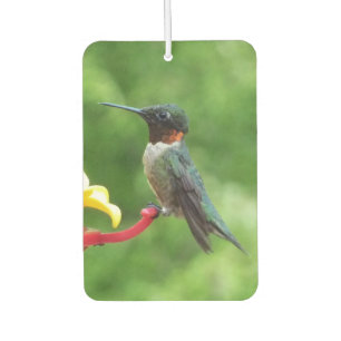 Ruby-Throated Hummingbird Bird Photography Car Air Freshener