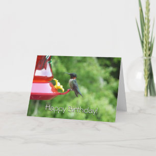 Ruby-Throated Hummingbird Bird Photography Card