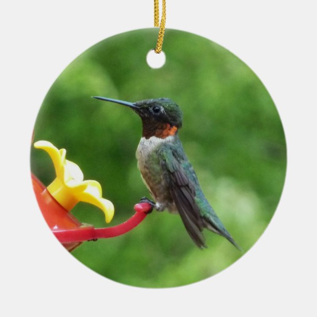 Ruby-Throated Hummingbird Bird Photography Ceramic Tree Decoration (Front)