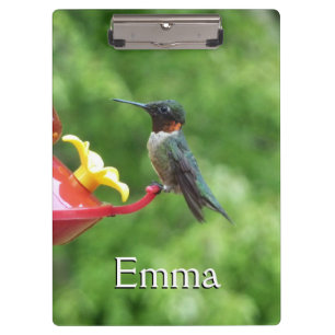 Ruby-Throated Hummingbird Bird Photography Clipboard