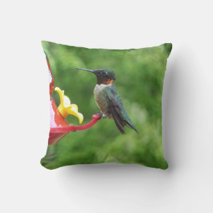 Ruby-Throated Hummingbird Bird Photography Cushion