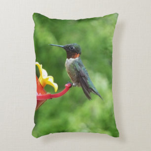 Ruby-Throated Hummingbird Bird Photography Decorative Cushion