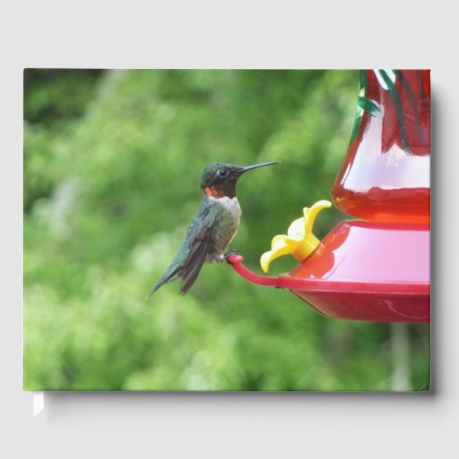 Ruby-Throated Hummingbird Bird Photography Guest Book (Front)