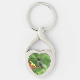Ruby-Throated Hummingbird Bird Photography Key Ring