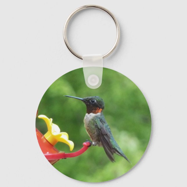 Ruby-Throated Hummingbird Bird Photography Key Ring (Front)