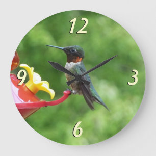 Ruby-Throated Hummingbird Bird Photography Large Clock