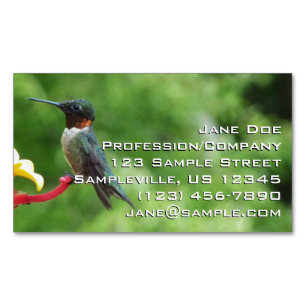 Ruby-Throated Hummingbird Bird Photography Magnetic Business Card