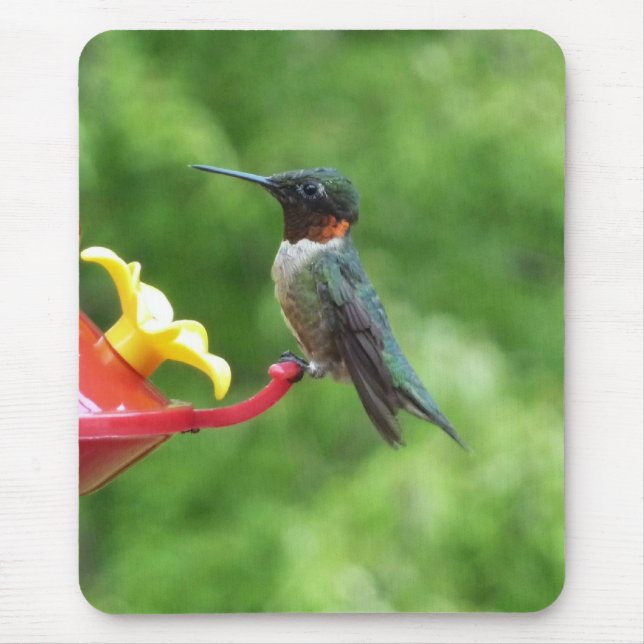 Ruby-Throated Hummingbird Bird Photography Mouse Mat (Front)