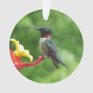 Ruby-Throated Hummingbird Bird Photography Ornament
