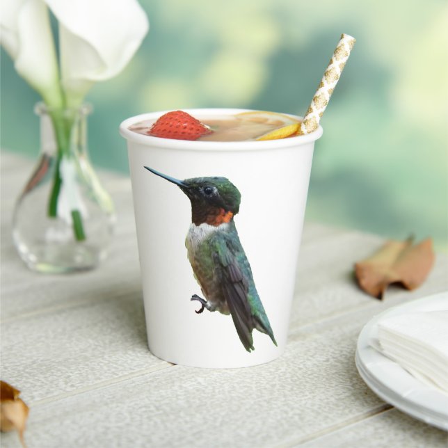 Ruby-Throated Hummingbird Bird Photography Paper Cups (Insitu)