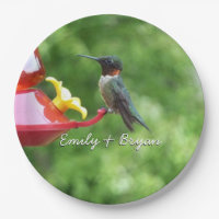 Ruby-Throated Hummingbird Bird Photography