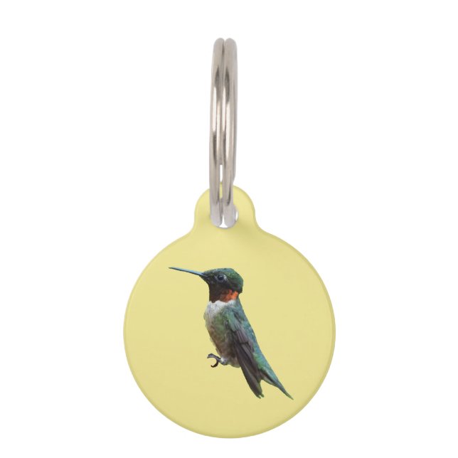 Ruby-Throated Hummingbird Bird Photography Pet Tag (Front)