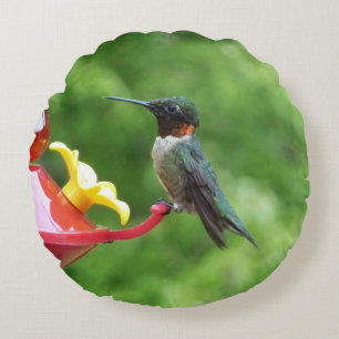 Ruby-Throated Hummingbird Bird Photography Round Cushion