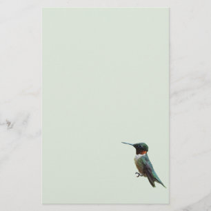 Ruby-Throated Hummingbird Bird Photography Stationery