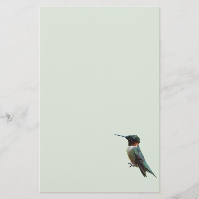 Ruby-Throated Hummingbird Bird Photography Stationery (Front)