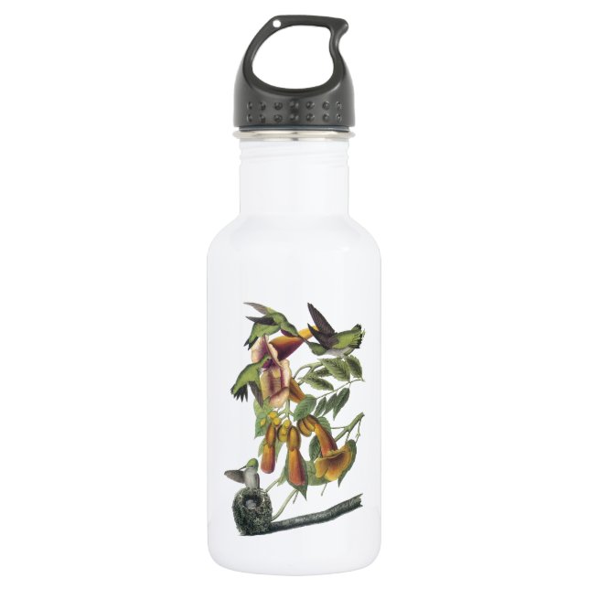 Ruby-throated Hummingbird by Audubon 532 Ml Water Bottle (Front)
