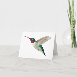 Ruby-throated Hummingbird Card
