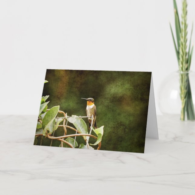 Ruby Throated Hummingbird Card (Front)
