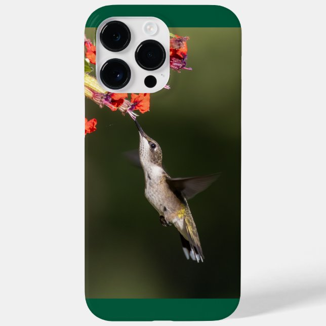 Ruby-Throated Hummingbird  Case-Mate iPhone Case (Back)