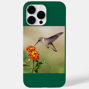 Ruby-Throated Hummingbird Case-Mate iPhone 14 Pro Max Case