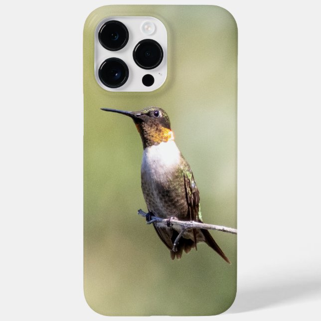Ruby-Throated Hummingbird  Case-Mate iPhone Case (Back)