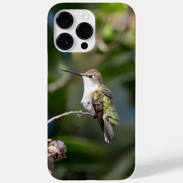 Ruby-Throated Hummingbird  Case-Mate iPhone Case (Back)
