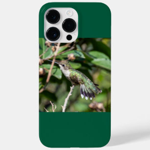 Ruby-Throated Hummingbird Case-Mate iPhone 14 Pro Max Case