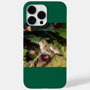 Ruby-Throated Hummingbird Case-Mate iPhone 14 Pro Max Case