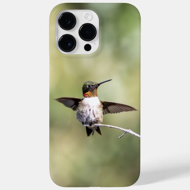Ruby-Throated Hummingbird  Case-Mate iPhone Case (Back)