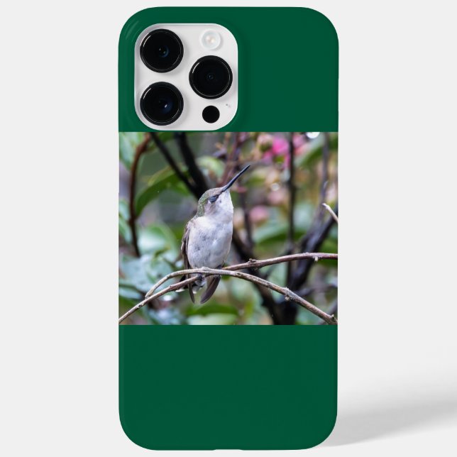 Ruby-Throated Hummingbird  Case-Mate iPhone Case (Back)