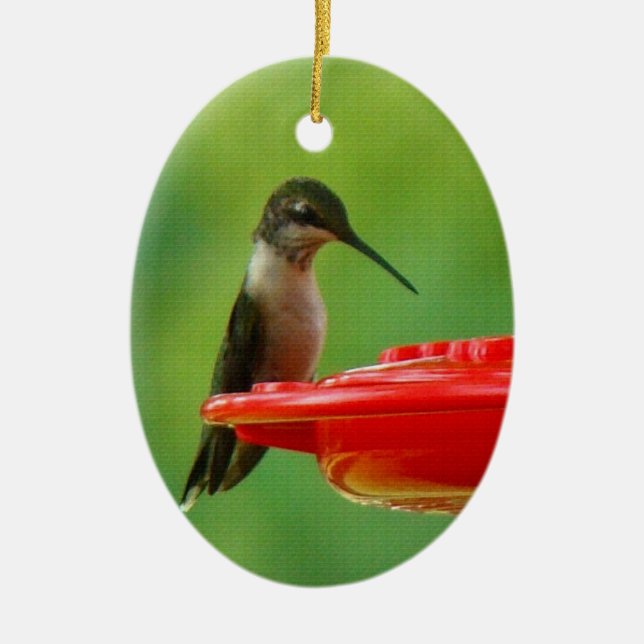 Ruby-Throated Hummingbird Ceramic Tree Decoration (Front)