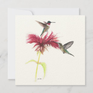 Ruby Throated Hummingbird Couple