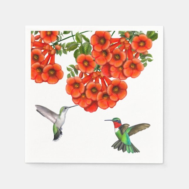 Ruby Throated Hummingbird Couple Napkins (Front)